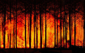 pixabay.com | geralt | Waldbrand