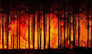 pixabay.com | geralt | Waldbrand