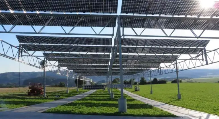 In Bayern starten erste Projekte mit Agri-Photovoltaik