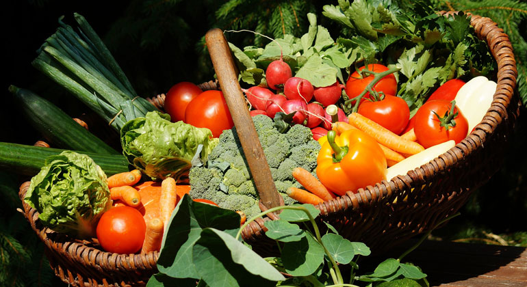 Umstellung auf gesunde Ernährung erhöht die Chancen, 1,5 Grad Ziel zu halten