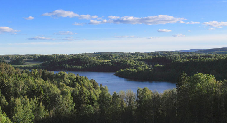 Forest management increases climate benefits provided by boreal forests