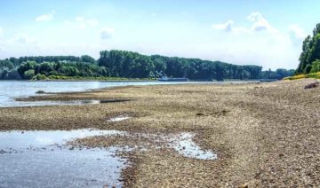 pixabay.com | Markus Distelrath | Rhein