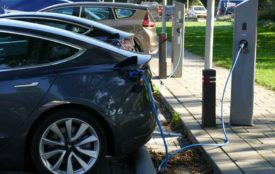 pixabay.com | Eveline de Bruin |