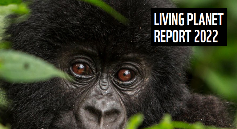 WWF | Livin Planet Report 2022
