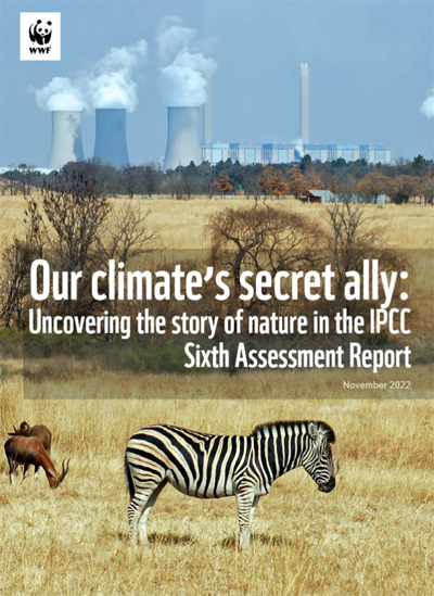 COP27 : le WWF rappelle l’urgence à protéger la biodiversité  : « Our climate’s secret ally : Uncovering the story of nature in the IPCC Sixth Assessment Report »