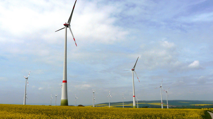 Windpark Druiberg | energiepark-druiberg.de