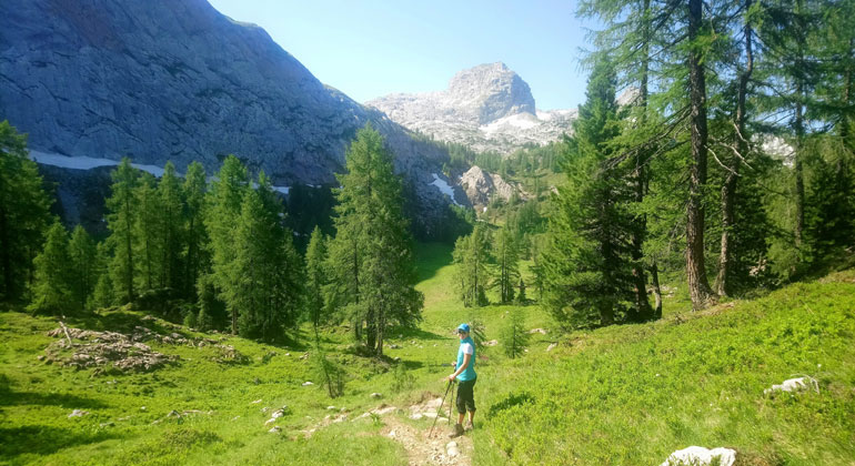 Mensch und Natur entfremden sich immer mehr