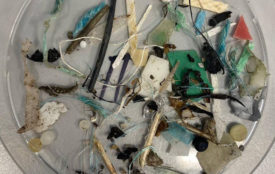Plastikmüll in der Arktis stammt aus aller Welt – auch aus Deutschland