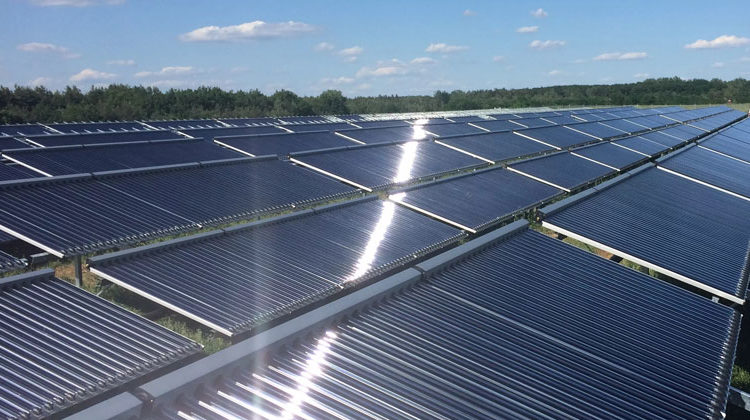 Bundesverband Solarwirtschaft e.V. | ritter - senftenberg