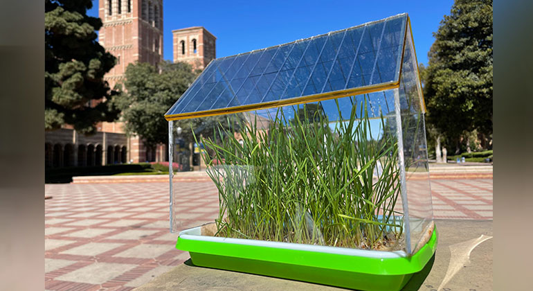Hocheffizientes Solardach für Gewächshäuser