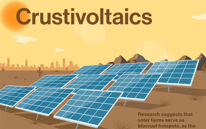 Using solar farms to generate fresh desert soil crust