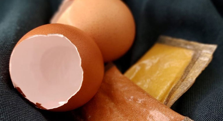 Simply EGG-genious:Students invent edible packaging from eggshells