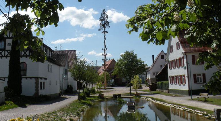 Grüne Wärme im Dorf