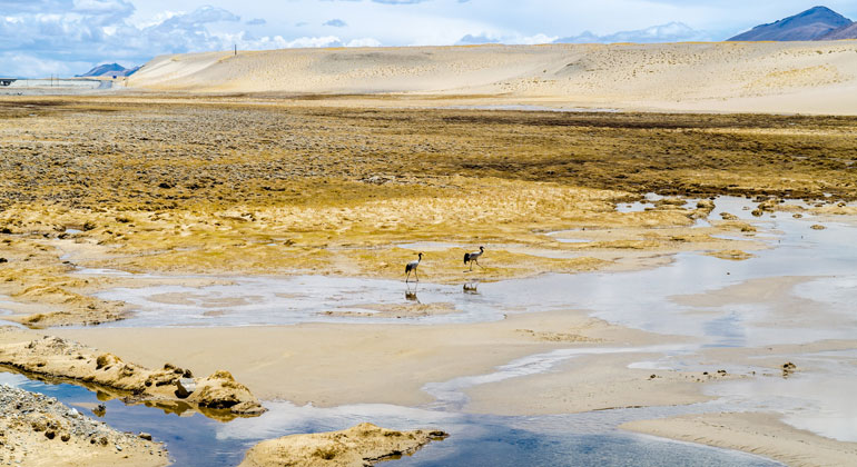 Depositphotos.com | Lihana111 | Himalaya