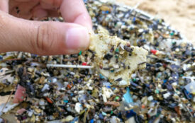 Depositphotos.com | wonderisland | Mikroplastik