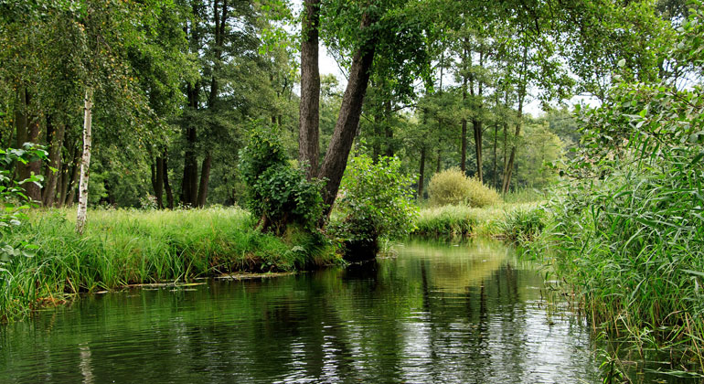 Umstrittene UBA-Studie: Das falsche Spiel mit dem Lausitzer Wasser