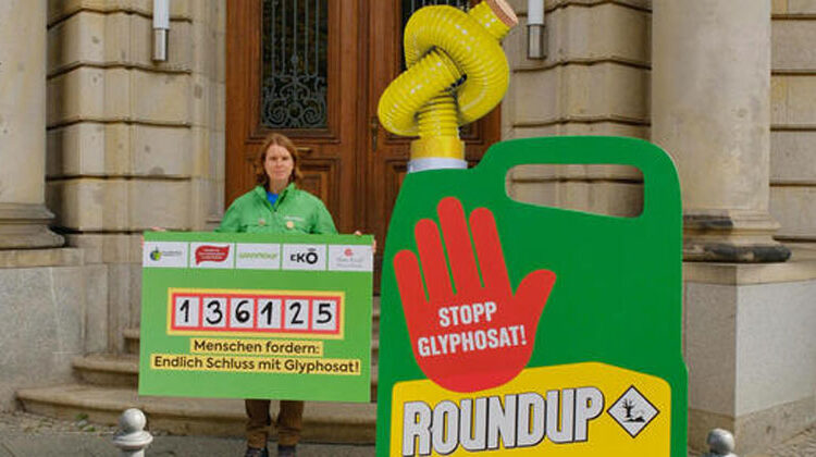 Verena Brüning / Greenpeace