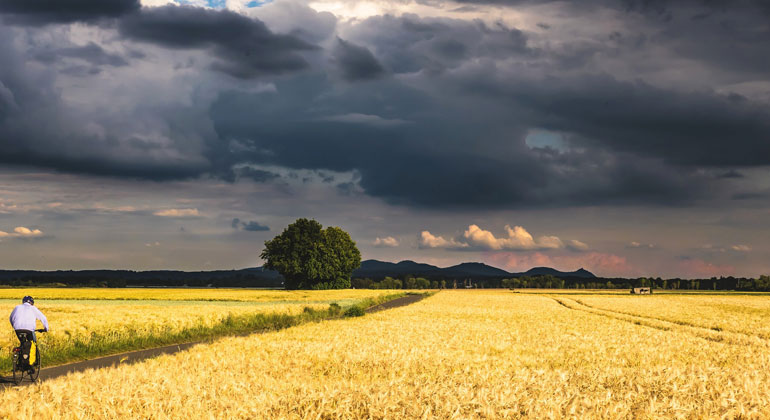 Folgen der Klimakrise in Deutschland verschärfen sich