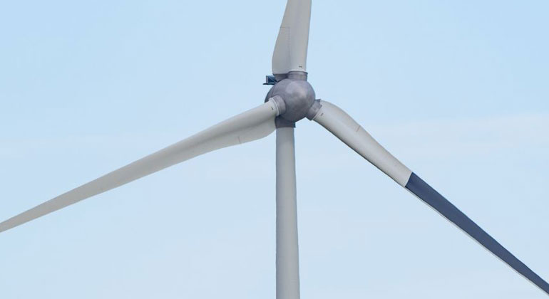 Windpark: Schwarze Farbe soll Vögel schützen