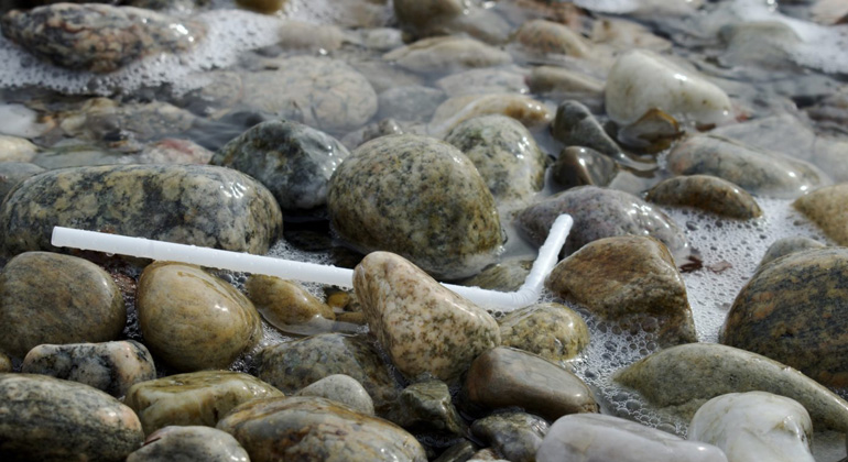 Wie lange halten sich Strohhalme im Meer?