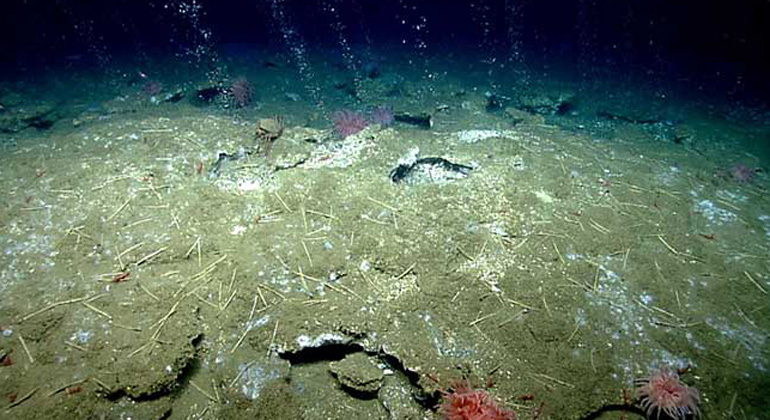 NOAA Office of Ocean Exploration and Research