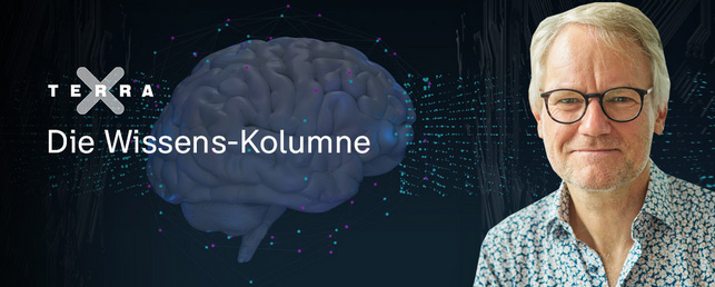 zdf.de | Terra-X-Kolumne