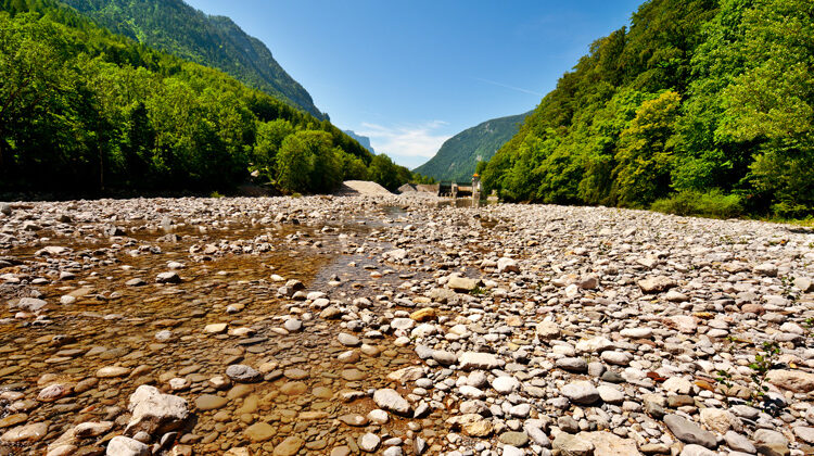 Depositphotos.com | ggkuna | Flussbett trocken