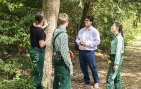 Anastasiya Sultanova, KIT