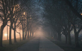 pixabay.com | RealAKP | Lichtverschmutzung