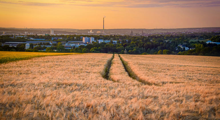 unsplash.com | Gunnar Kaplick | Chemnitz