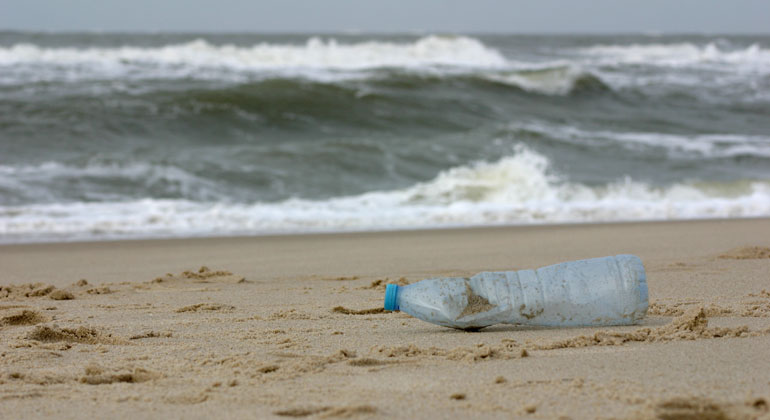 Citizen scientists help discover microplastics along the entire German coastline