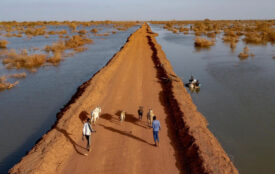 UNHCR/Andrew McConnell