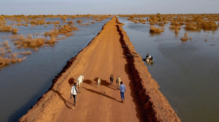 UNHCR/Andrew McConnell