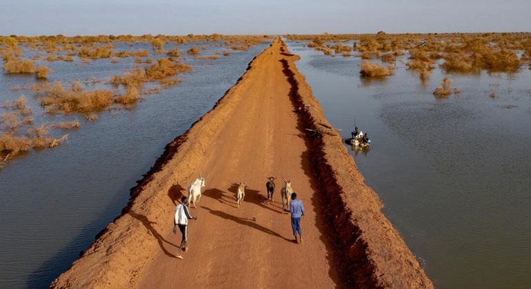 UNHCR report reveals climate change is a growing threat to people already fleeing war