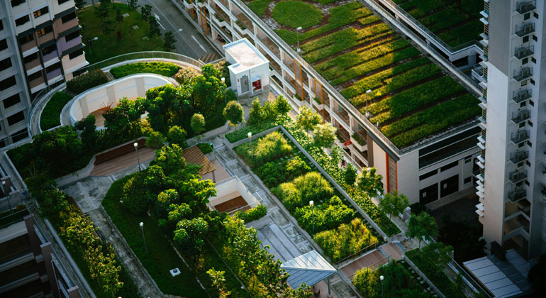 Klimaresiliente Städte: Wie Pflanzenkohle das Stadtleben für Extremwetter rüstet