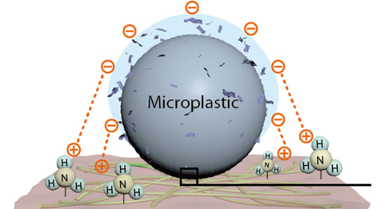 Ein neuer Ansatz im Kampf gegen Mikroplastik