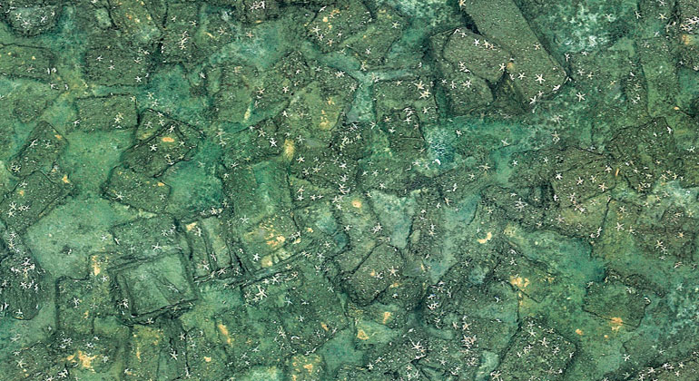 Environmental Impact of Unexploded Ordnance in the Baltic Sea