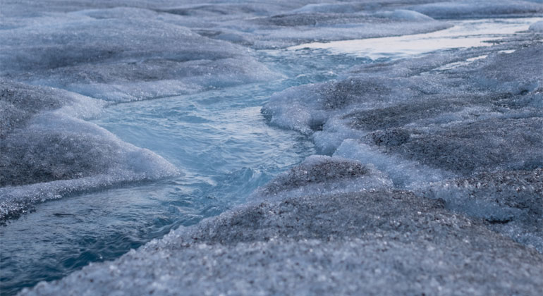 Re­si­li­ent al­gae may speed up Green­land ice melt