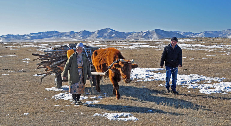 Mongolia to host next UN conference on sustainable land management