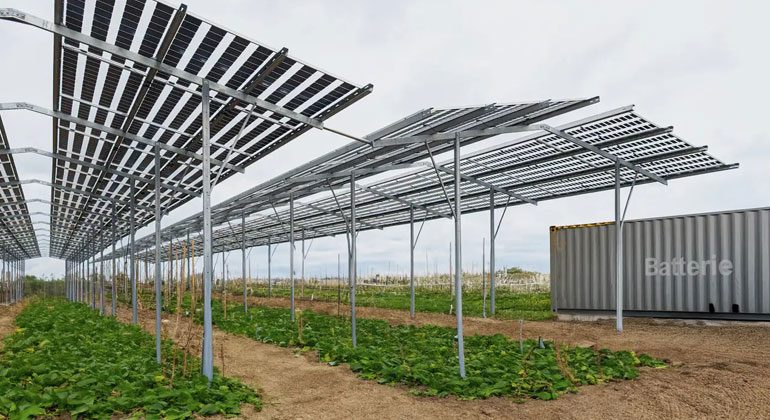 AgriPV mit Batterie als lokale Energie-Hubs gegen Stromausfälle