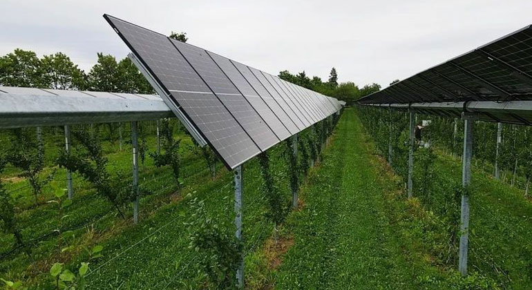 Fraunhofer-ISE-Ausgründung entwickelt Agri-Photovoltaik-Anlagen mit Batteriespeichersystemen