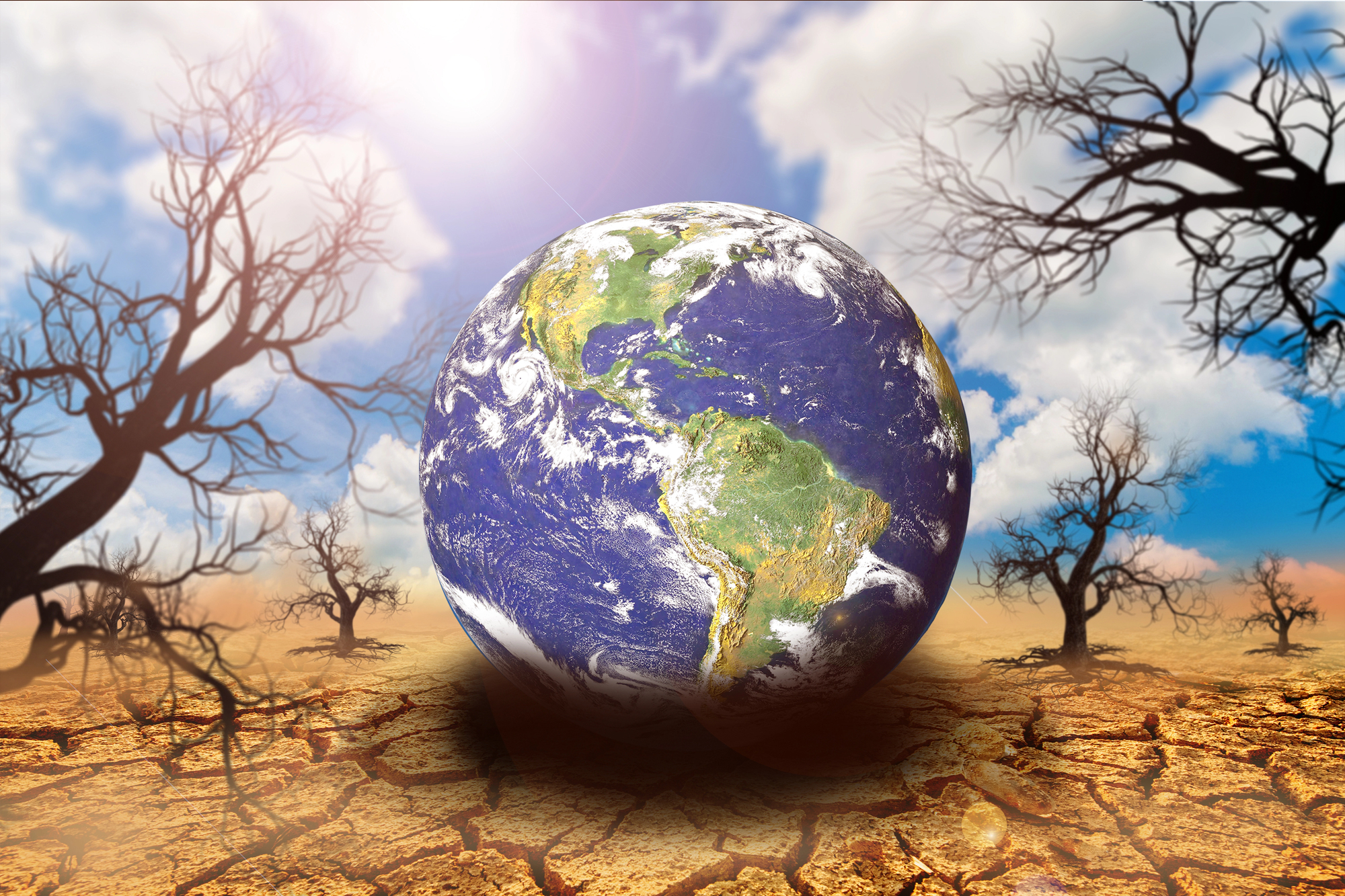 Pace of warming has doubled since 1980s