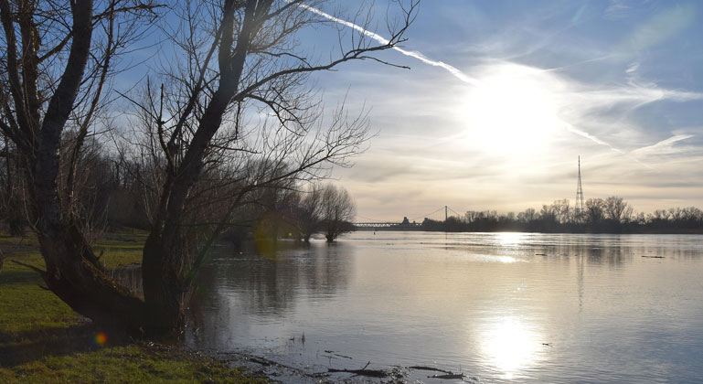 Erste große Deichrückverlegung an der Elbe ist Vorzeigeprojekt für Klimaschutz und Artenvielfalt
