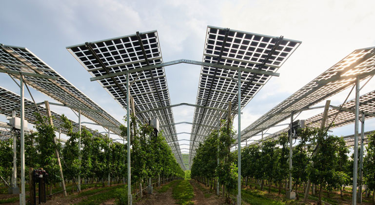 Flächenpotenzial für Agri-Photovoltaik in Deutschland übertrifft Ausbauziele für Klimaschutz