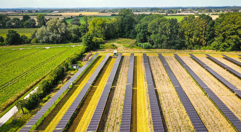 GridParity-Pilotanlage: AgriPV funktioniert
