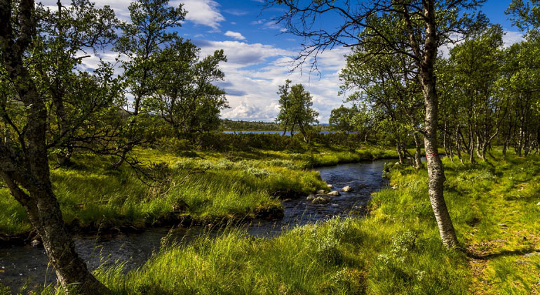 Zwei Prozent, die viel bewirken können