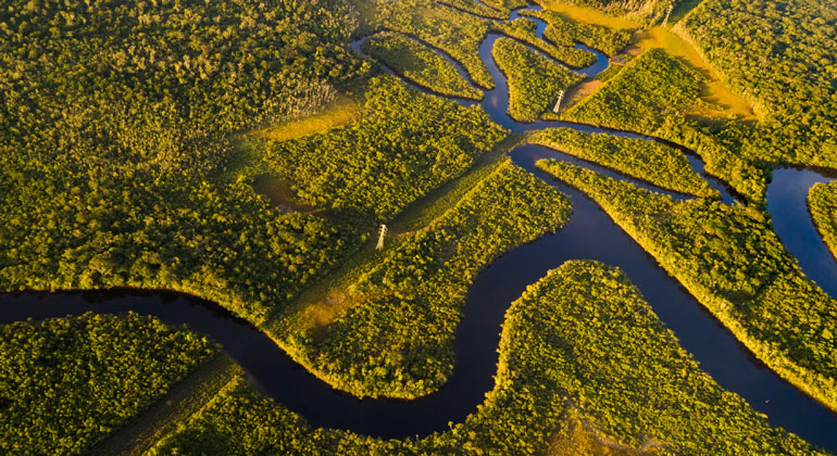 COP 30 in Belém: Der Nord-Süd-Gegensatz zerbröselt