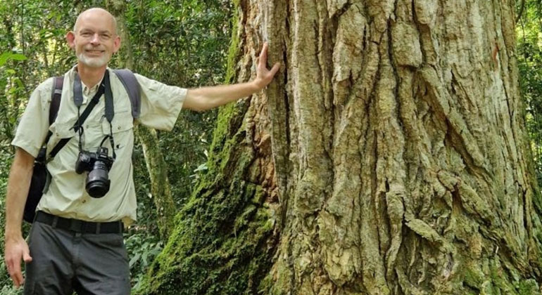 Rasant wachsende Bäume sind ein Öko-Risiko