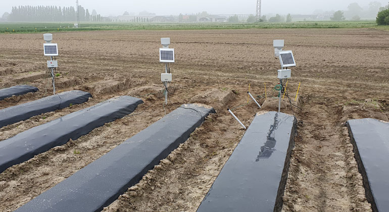 Biologisch abbaubare Mulchfolien