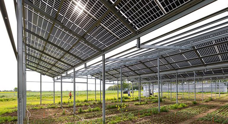 Agrivoltaics: More Than Just Electricity from the Field